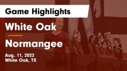 White Oak  vs Normangee  Game Highlights - Aug. 11, 2022