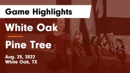White Oak  vs Pine Tree  Game Highlights - Aug. 25, 2022