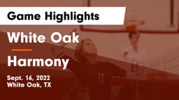 White Oak  vs Harmony Game Highlights - Sept. 16, 2022