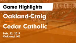 Oakland-Craig  vs Cedar Catholic  Game Highlights - Feb. 22, 2019