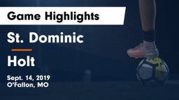 St. Dominic  vs Holt  Game Highlights - Sept. 14, 2019