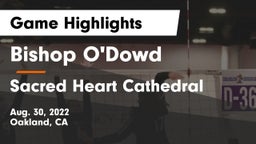 Bishop O'Dowd  vs Sacred Heart Cathedral  Game Highlights - Aug. 30, 2022