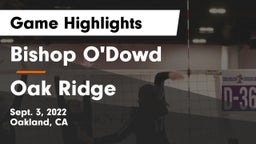 Bishop O'Dowd  vs Oak Ridge  Game Highlights - Sept. 3, 2022