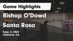 Bishop O'Dowd  vs Santa Rosa  Game Highlights - Sept. 3, 2022