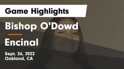 Bishop O'Dowd  vs Encinal Game Highlights - Sept. 26, 2022