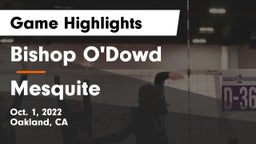 Bishop O'Dowd  vs Mesquite  Game Highlights - Oct. 1, 2022