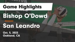 Bishop O'Dowd  vs San Leandro  Game Highlights - Oct. 5, 2023