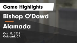 Bishop O'Dowd  vs Alamada  Game Highlights - Oct. 12, 2023