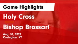 Holy Cross  vs Bishop Brossart  Game Highlights - Aug. 31, 2023