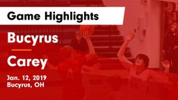 Bucyrus  vs Carey  Game Highlights - Jan. 12, 2019