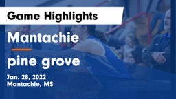 Mantachie  vs pine grove Game Highlights - Jan. 28, 2022
