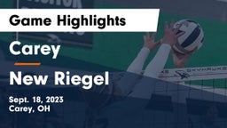 Carey  vs New Riegel  Game Highlights - Sept. 18, 2023