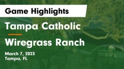 Tampa Catholic  vs Wiregrass Ranch Game Highlights - March 7, 2023