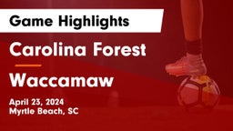 Carolina Forest  vs Waccamaw  Game Highlights - April 23, 2024