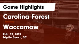 Carolina Forest  vs Waccamaw  Game Highlights - Feb. 23, 2023