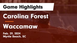 Carolina Forest  vs Waccamaw  Game Highlights - Feb. 29, 2024