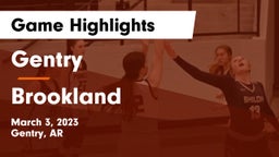 Gentry  vs Brookland  Game Highlights - March 3, 2023