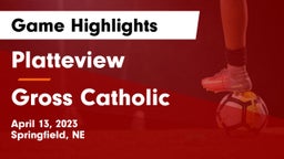 Platteview  vs Gross Catholic  Game Highlights - April 13, 2023