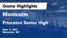 Montcalm  vs Princeton Senior High Game Highlights - Sept. 8, 2022