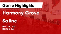 Harmony Grove  vs Saline Game Highlights - Nov. 30, 2021