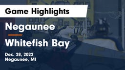 Negaunee  vs Whitefish Bay  Game Highlights - Dec. 28, 2022