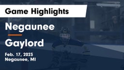 Negaunee  vs Gaylord  Game Highlights - Feb. 17, 2023