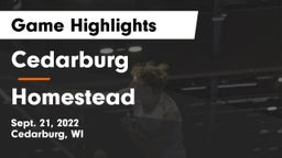 Cedarburg  vs Homestead  Game Highlights - Sept. 21, 2022