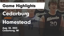 Cedarburg  vs Homestead  Game Highlights - Aug. 30, 2023