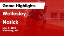 Wellesley  vs Natick  Game Highlights - May 2, 2023