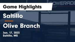 Saltillo  vs Olive Branch  Game Highlights - Jan. 17, 2023