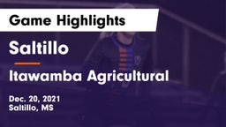Saltillo  vs Itawamba Agricultural  Game Highlights - Dec. 20, 2021