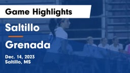 Saltillo  vs Grenada  Game Highlights - Dec. 14, 2023