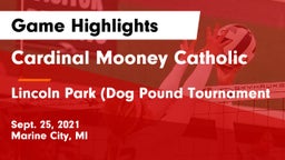 Cardinal Mooney Catholic  vs Lincoln Park (Dog Pound Tournament Game Highlights - Sept. 25, 2021