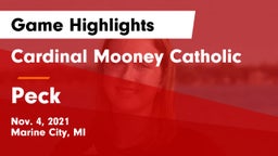 Cardinal Mooney Catholic  vs Peck  Game Highlights - Nov. 4, 2021