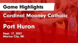 Cardinal Mooney Catholic  vs Port Huron  Game Highlights - Sept. 17, 2022