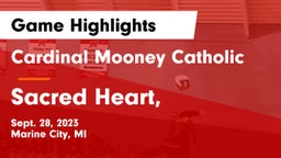 Cardinal Mooney Catholic  vs Sacred Heart,  Game Highlights - Sept. 28, 2023