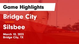 Bridge City  vs Silsbee  Game Highlights - March 10, 2023