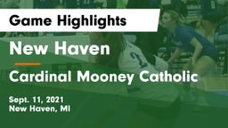 New Haven  vs Cardinal Mooney Catholic  Game Highlights - Sept. 11, 2021