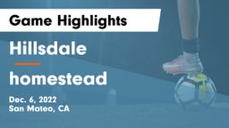 Hillsdale  vs homestead Game Highlights - Dec. 6, 2022