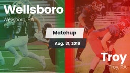 Matchup: Wellsboro High vs. Troy  2018