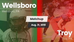 Matchup: Wellsboro High vs. Troy  2018