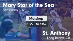 Matchup: Mary Star of the vs. St. Anthony  2016