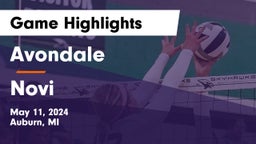 Avondale  vs Novi Game Highlights - May 11, 2024