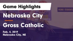 Nebraska City  vs Gross Catholic  Game Highlights - Feb. 4, 2019