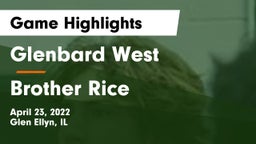 Glenbard West  vs Brother Rice  Game Highlights - April 23, 2022