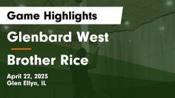 Glenbard West  vs Brother Rice  Game Highlights - April 22, 2023