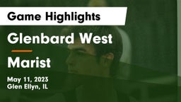 Glenbard West  vs Marist  Game Highlights - May 11, 2023
