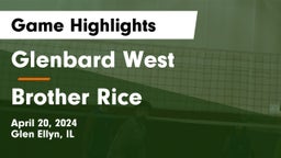 Glenbard West  vs Brother Rice  Game Highlights - April 20, 2024
