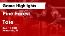 Pine Forest  vs Tate  Game Highlights - Dec. 11, 2023
