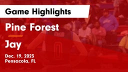 Pine Forest  vs Jay  Game Highlights - Dec. 19, 2023